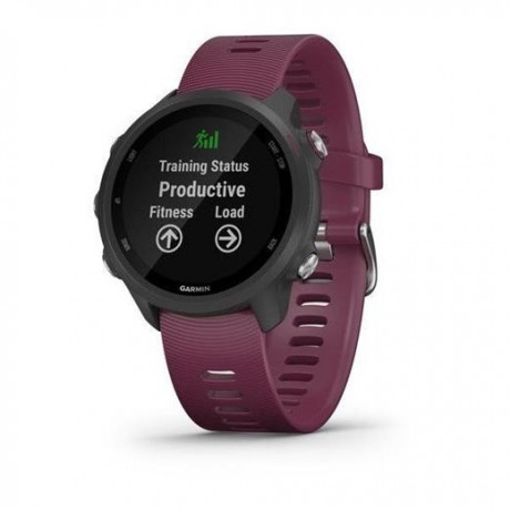 Hodinky Garmin Forerunner 245 Merlot