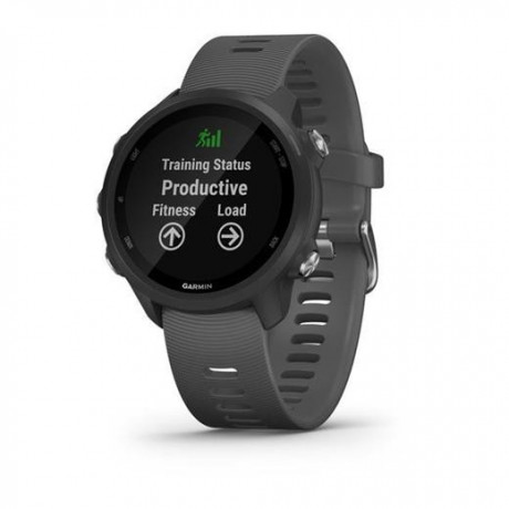 Hodinky Garmin Forerunner 245 Gray